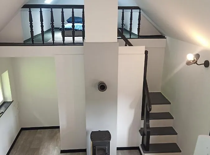 Chalet Domek Sosnowka *